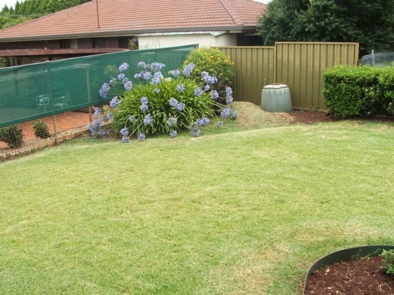 31 Naranga Street, Rangeville QLD 4350