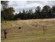 Gatton QLD 4343