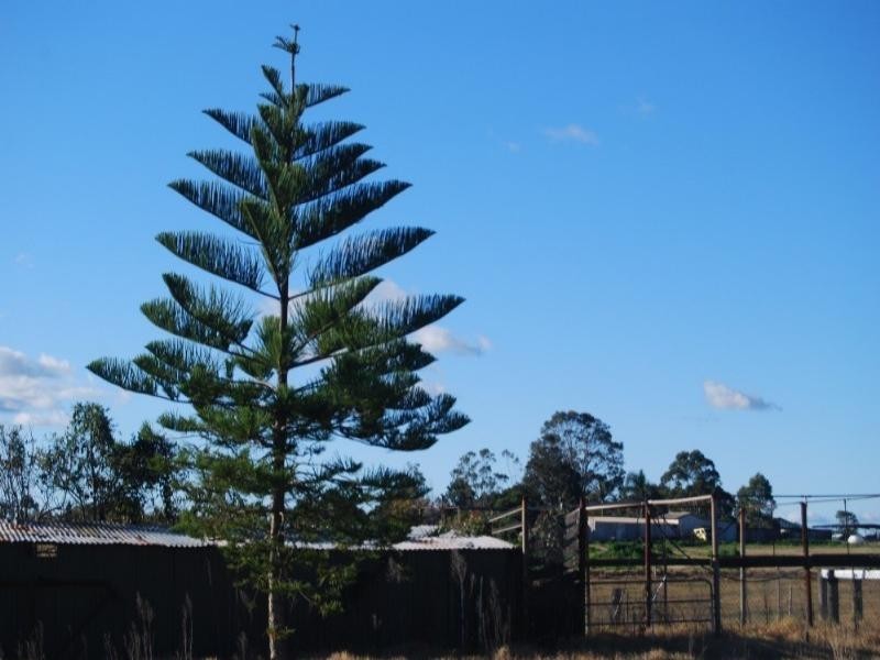 220 Meringandan Road, Kleinton QLD 4352