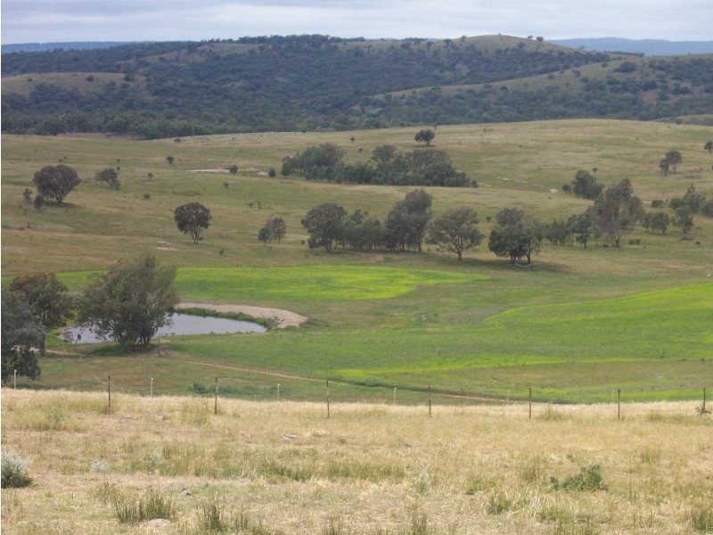204 Inverary Road, Stanthorpe QLD 4380