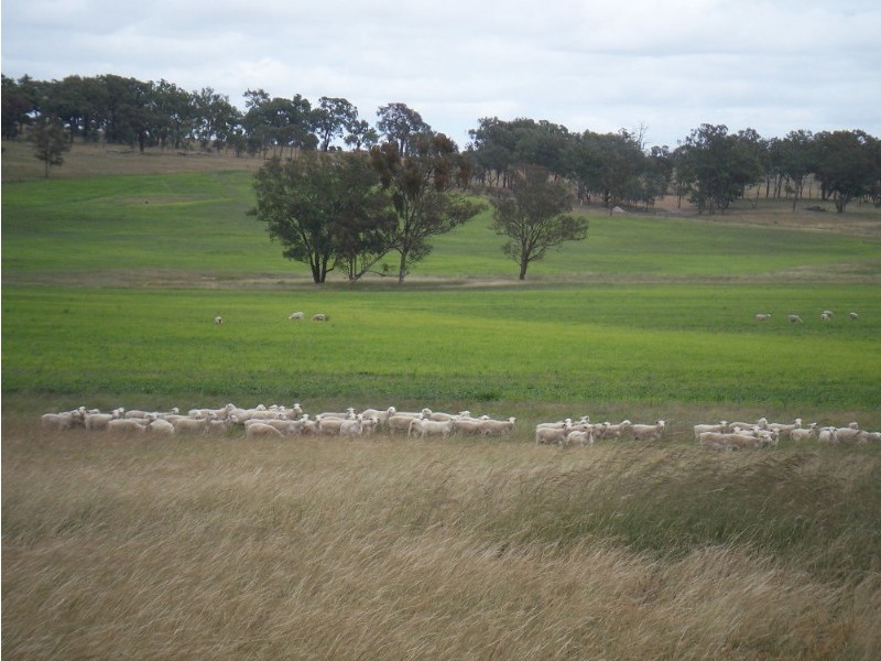 204 Inverary Road, Stanthorpe QLD 4380