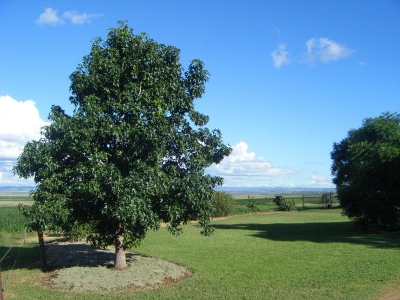 452 Doolan Road, Toowoomba QLD 4350