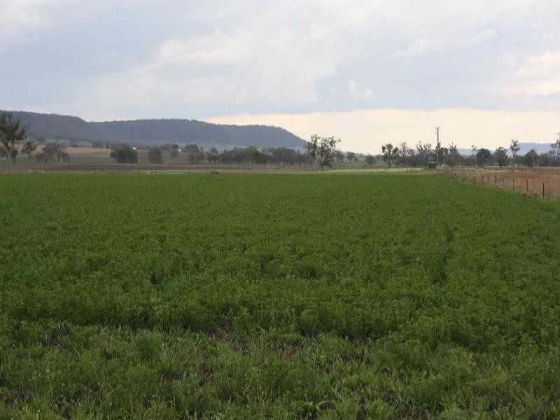 Upper Pilton QLD 4361