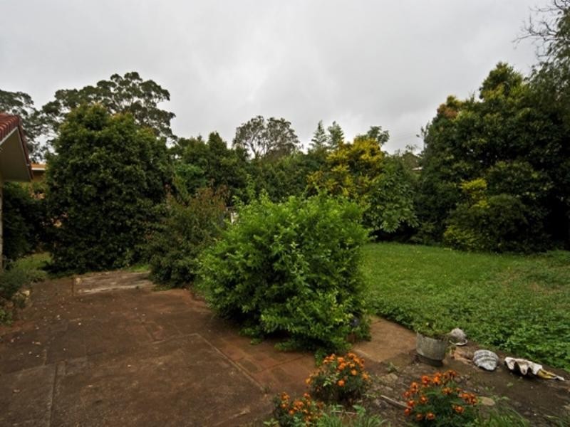 49 Martini Street, Mount Lofty QLD 4350