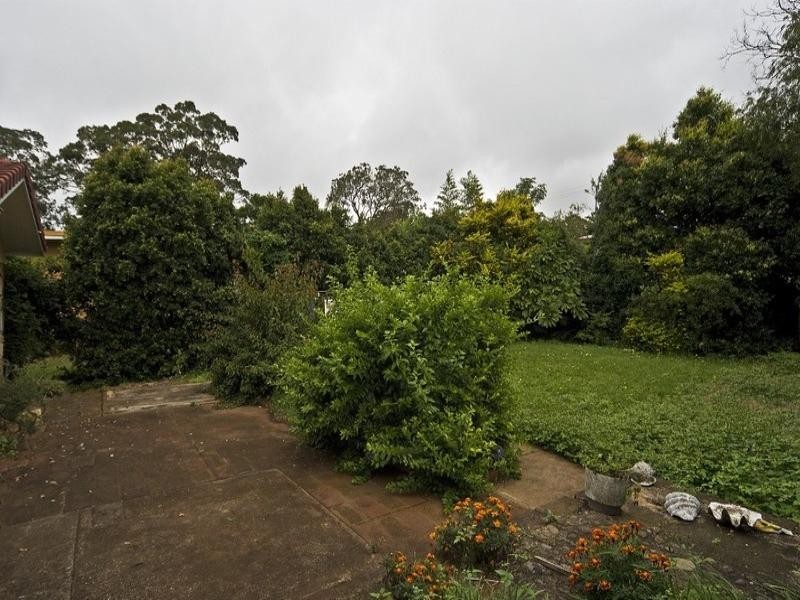 49 Martini Street, Mount Lofty QLD 4350