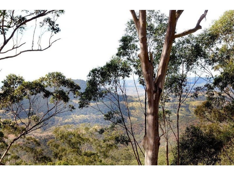 8 Manooka Court, Rangeville QLD 4350