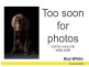 5 Kurrajong Street, Glenvale QLD 4350