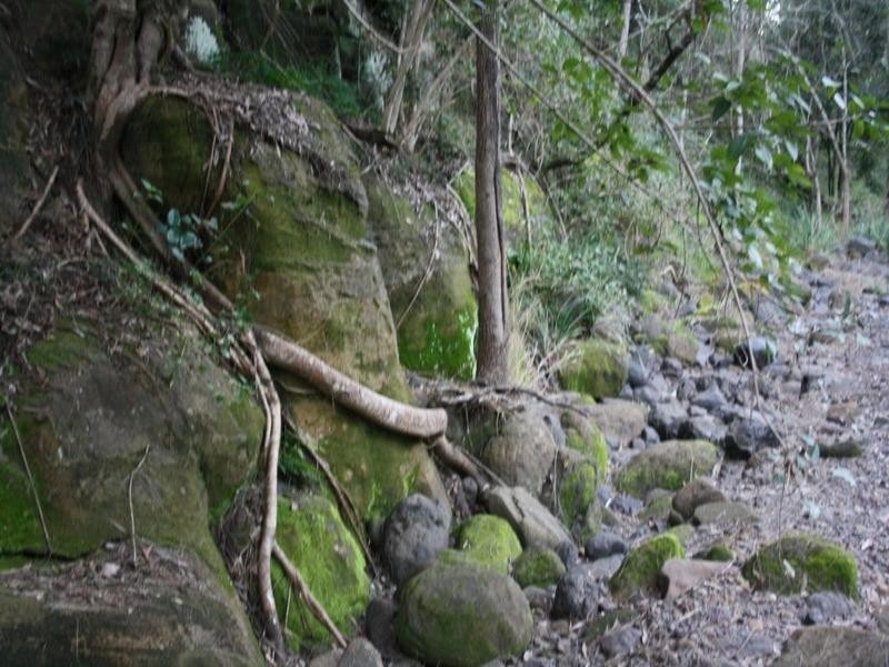 Lot 151 Rossells Road, Toowoomba QLD 4350