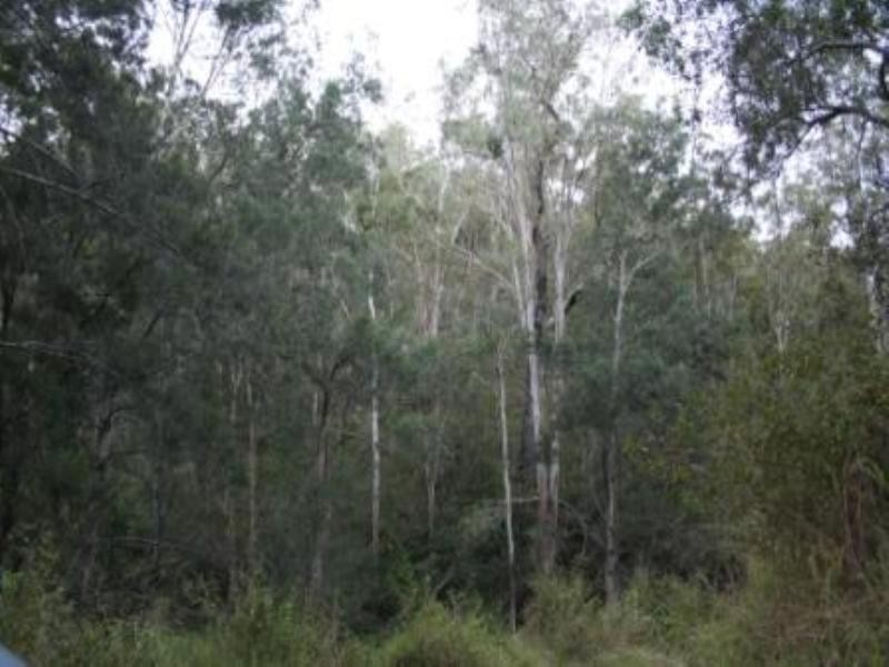 Lot 151 Rossells Road, Toowoomba QLD 4350