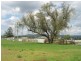 80 Rosenbergers Road, Wyreema QLD 4352