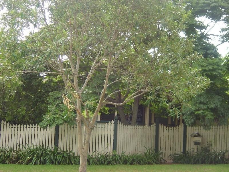 17 Trevethan Street, Mount Lofty QLD 4350