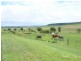 203 Kingsthorpe-Glencoe Road, Glencoe QLD 4352