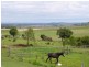 203 Kingsthorpe-Glencoe Road, Glencoe QLD 4352