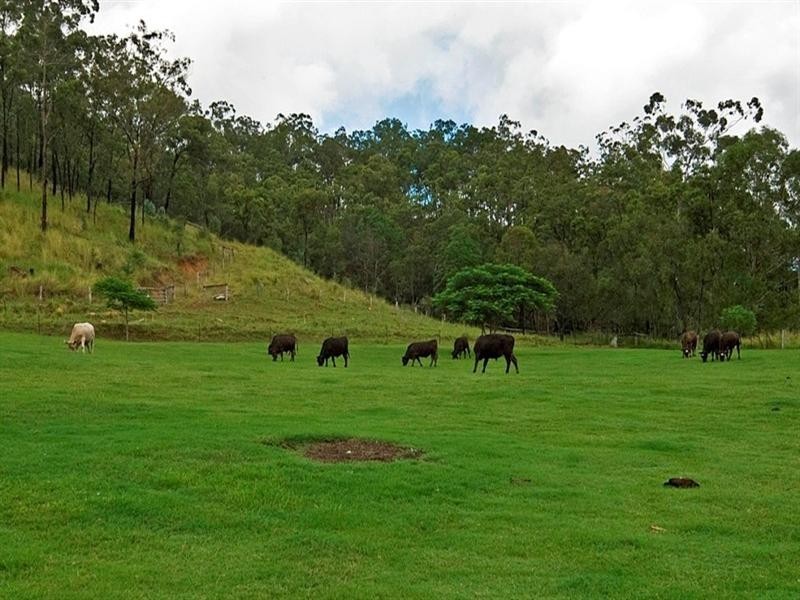 1935 Flagstone Creek Road, Upper Flagstone QLD 4344