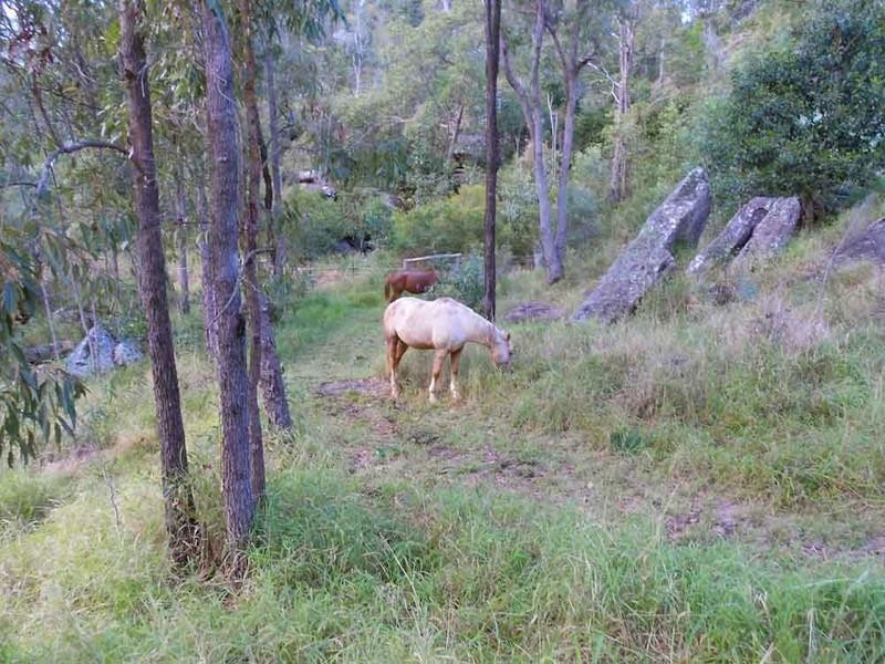 1935 Flagstone Creek Road, Flagstone Creek QLD 4344