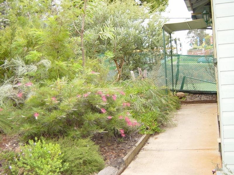 58 James Street, Rangeville QLD 4350