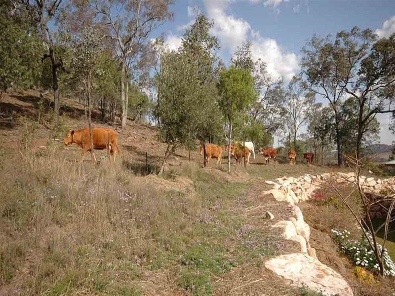 317 Beauaraba Road, Linthorpe QLD 4356