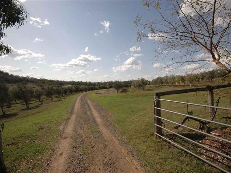 317 Beauaraba Road, Linthorpe QLD 4356