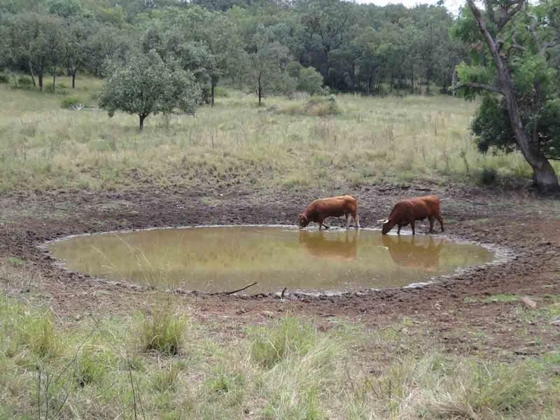 317 Beauaraba Road, Linthorpe QLD 4356