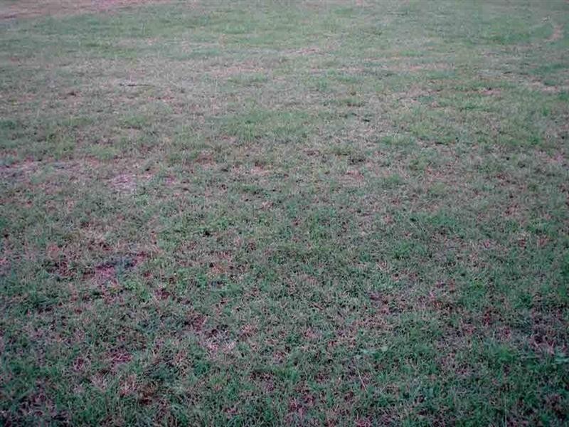 4a Lucy Street, Cambooya QLD 4358