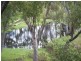 - Quemoi Road, Cecil Plains QLD 4407