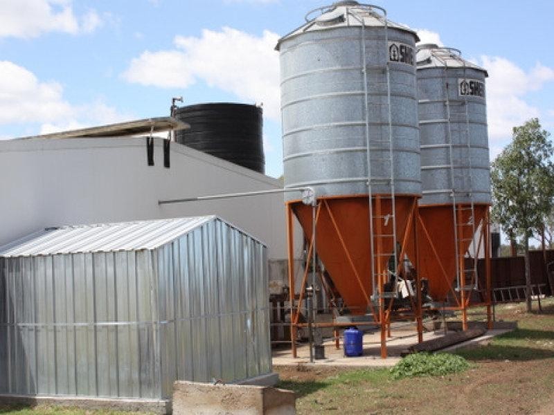 31 Valera Road, Pittsworth QLD 4356