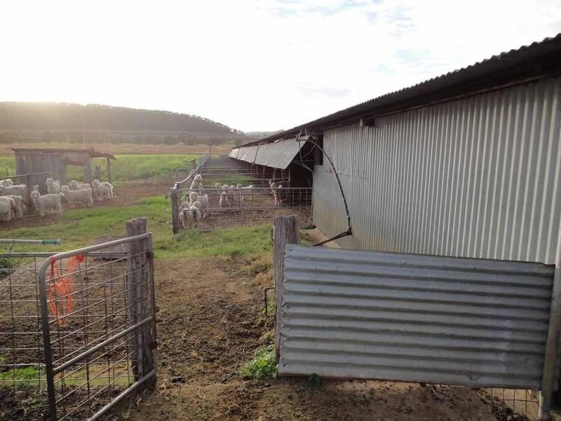 409 Steel Rudd Road, Budgee QLD 4359