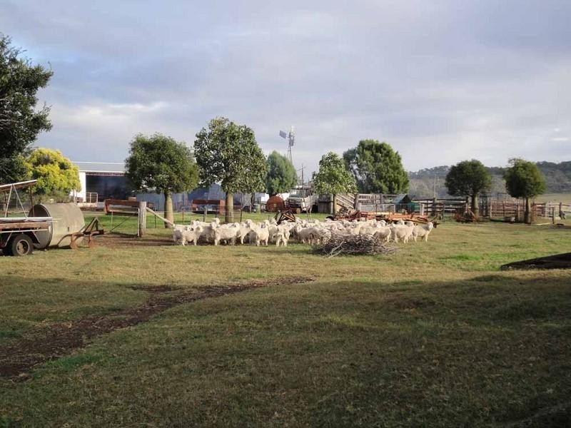 409 Steel Rudd Road, Budgee QLD 4359