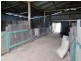 PIARI Pechey – Maclagan Road, Goombungee QLD 4354