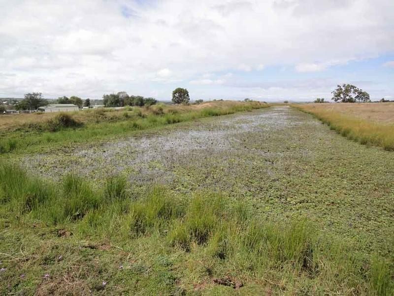 PIARI Pechey – Maclagan Road, Goombungee QLD 4354