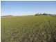 11 Railway Parade, Cambooya QLD 4358
