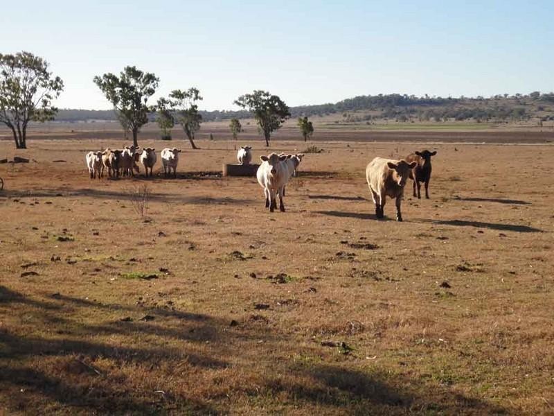 1071 Oakey-Pittsworth Road, Aubigny QLD 4401