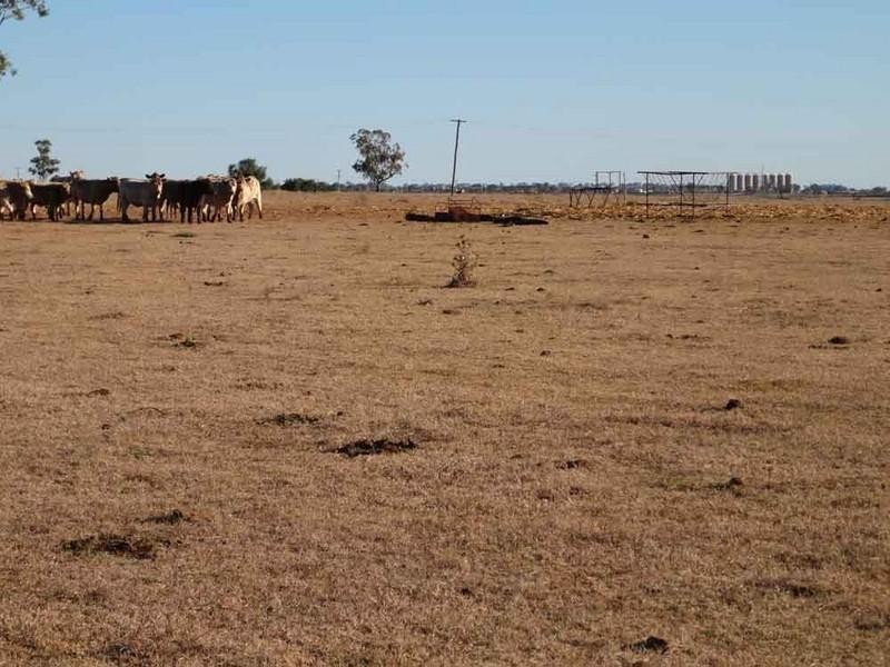 1071 Oakey-Pittsworth Road, Aubigny QLD 4401