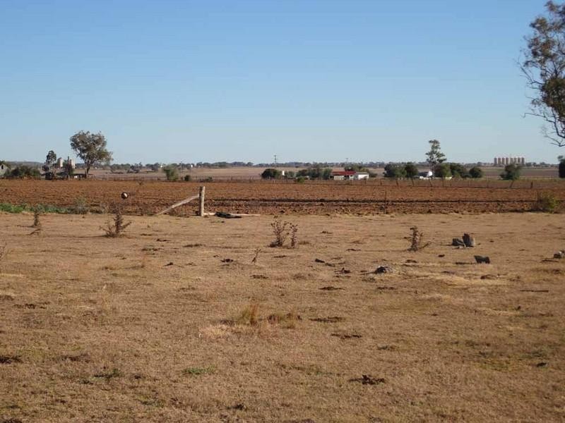 1071 Oakey-Pittsworth Road, Aubigny QLD 4401