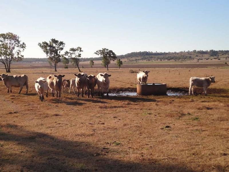 1071 Oakey-Pittsworth Road, Aubigny QLD 4401