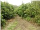 1784 Flagstone Creek Road, Upper Flagstone QLD 4344