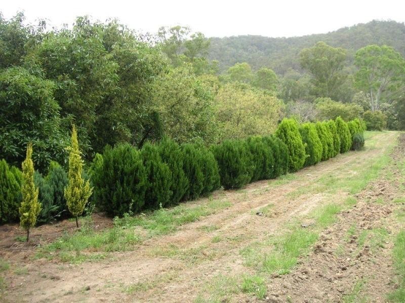 1784 Flagstone Creek Road, Upper Flagstone QLD 4344