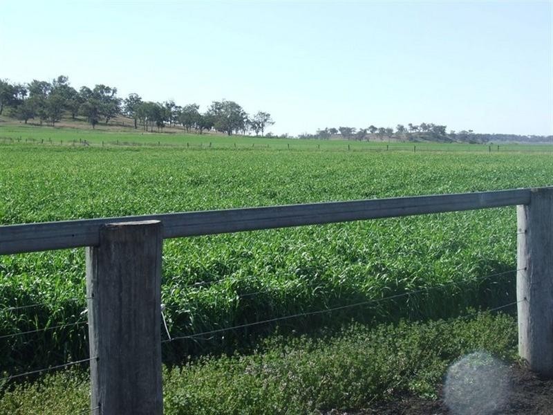 168 Richardsons Road, Cambooya QLD 4358