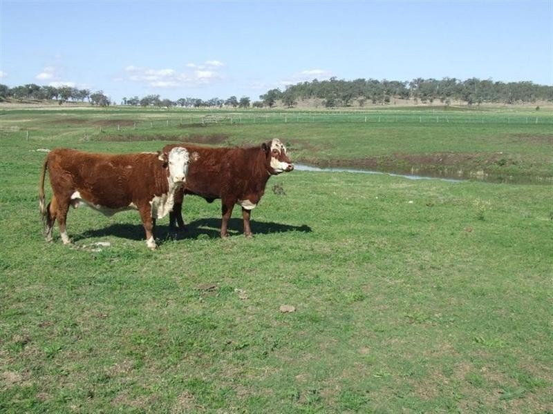 168 Richardsons Road, Cambooya QLD 4358