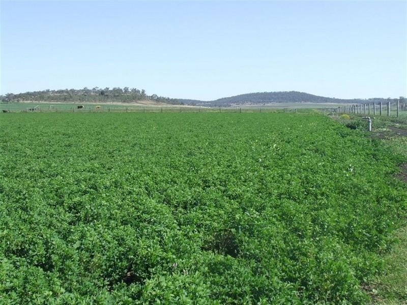 168 Richardsons Road, Southbrook QLD 4363