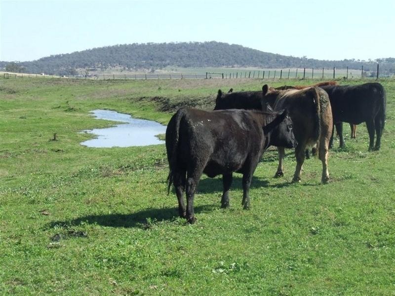 168 Richardsons Road, Southbrook QLD 4363