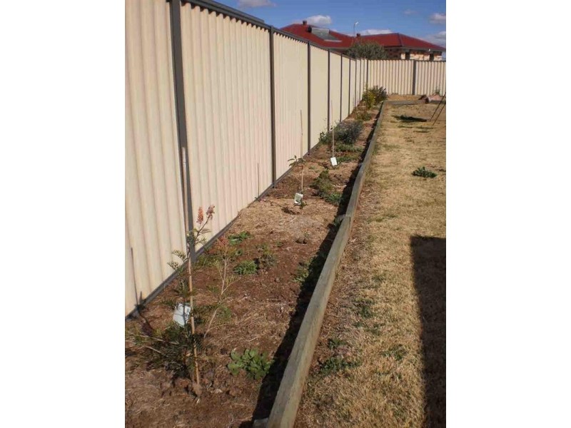 24 Ashford Drive, Wyreema QLD 4352