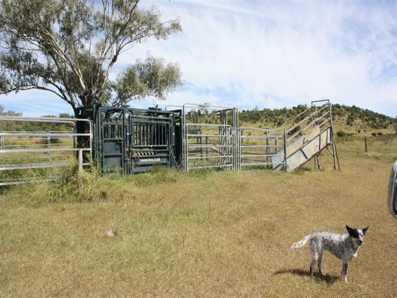 198 Arnold Road, Mount Tyson QLD 4356