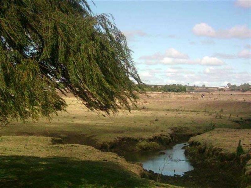 99,188,1 Oestreich Road, Toowoomba QLD 4350