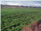 99,188,1 Oestreich Road, Toowoomba QLD 4350