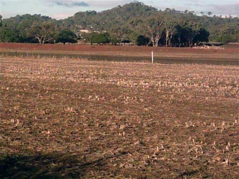99,188,1 Oestreich Road, Toowoomba QLD 4350