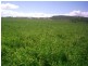 99,188,1 Oestreich Road, Toowoomba QLD 4350
