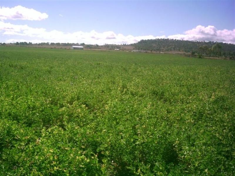 99,188,1 Oestreich Road, Toowoomba QLD 4350