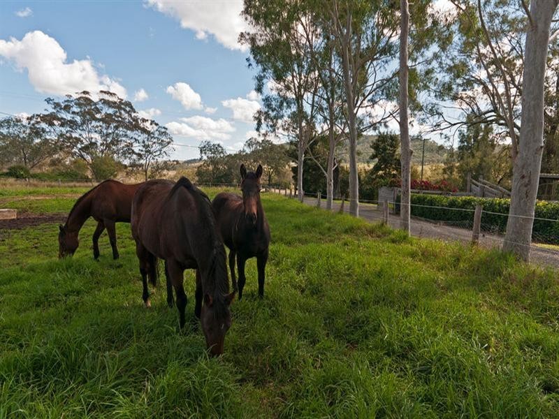 29 Walkers Springs Road, Preston QLD 4352
