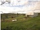 Dalby QLD 4405